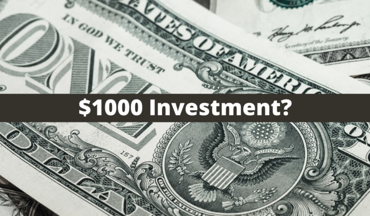 how to make money with a $1000 investment